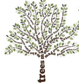 carbon neutral melksham Office Evolution becomes carbon neutral