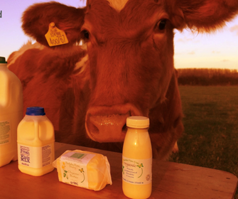 Dairy farm makes plans for cheaper energy Dairy farm makes plans for cheaper energy