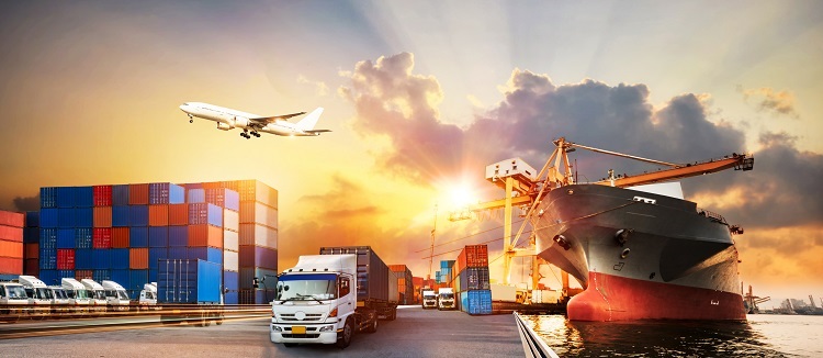 exports graphic exports graphic