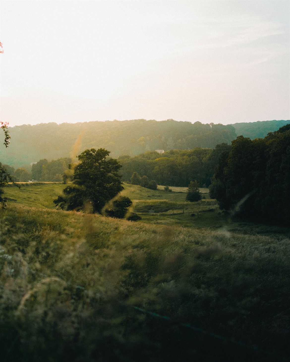 gautier-salles-_NAwOXcyxFk-unsplash