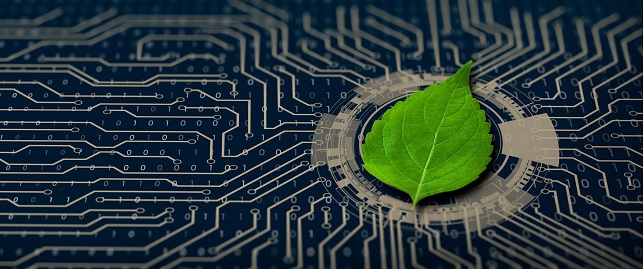 green tech Leaf on circuit board.