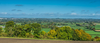 Land Landscape view of trees and acres of land.