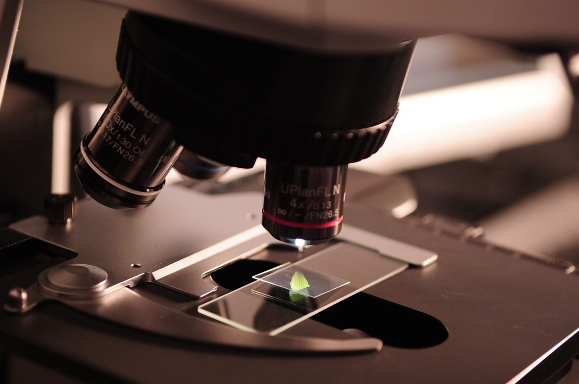 life science UK Life Sciences Innovators 2022