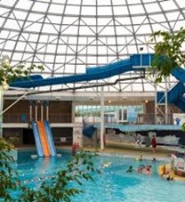 oasis