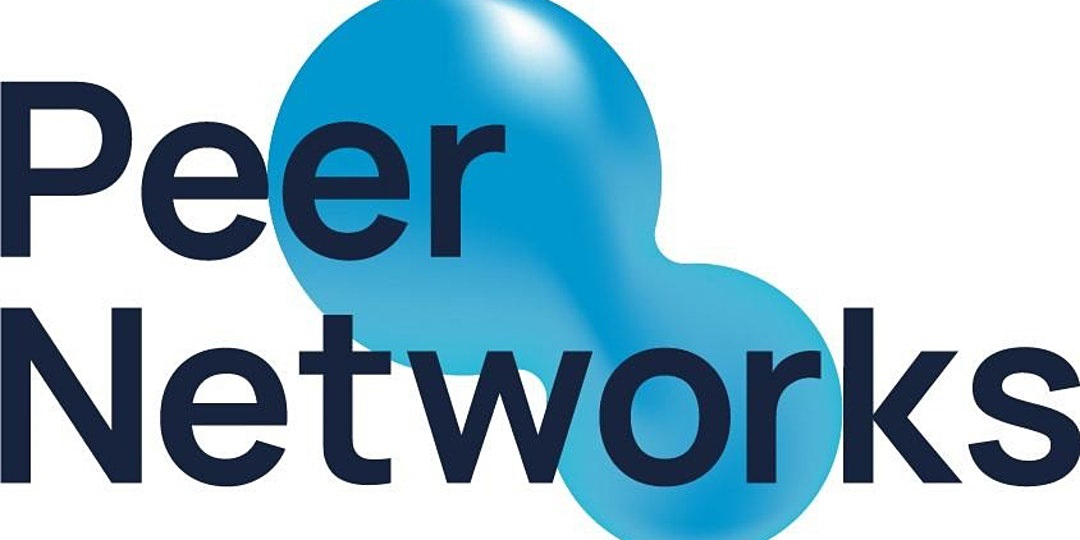 Peer Networks 2 Peer Networks 2