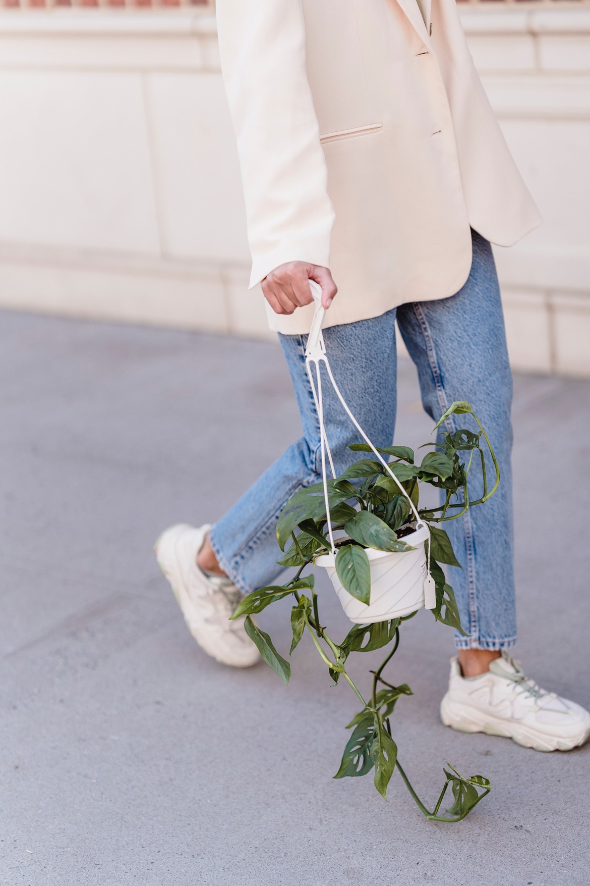 pexels-blue-bird-7243214 lady walking with a plant