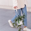 lady walking with a plant