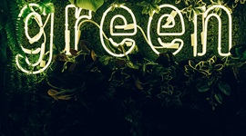 Neon sign in the shape of the word green with foliage surrounding it