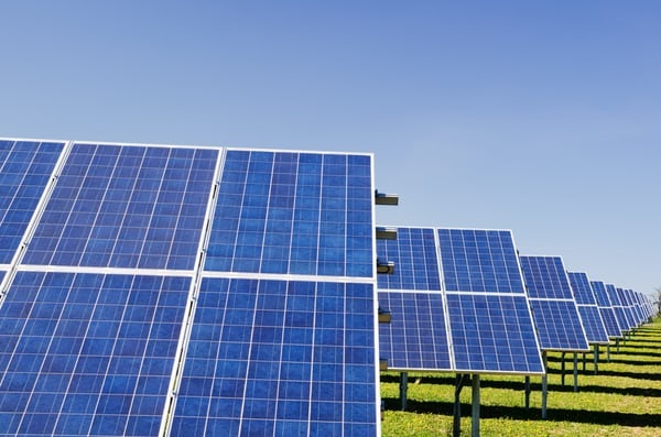 Solar panels in rows.