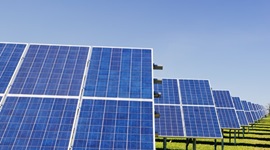 Rows of solar panels for green energy.