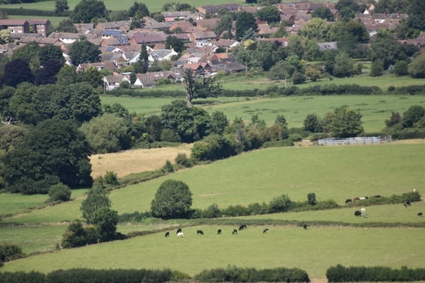 View of green fields with town in distance.