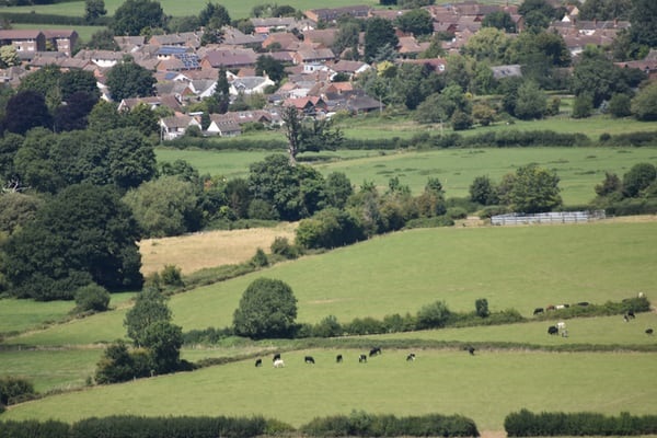 photo-1596965388006-d6d9d51e2e07 View of green fields with town in distance.