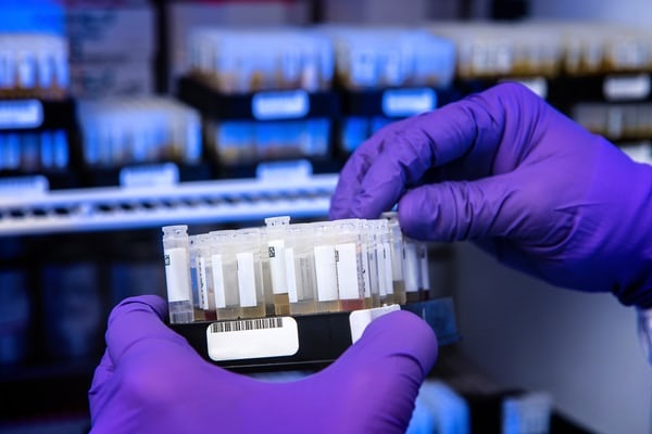 photo-1612278247769-af223a6e7d7f Test tubes being handled by somebody wearing blue surgical gloves.