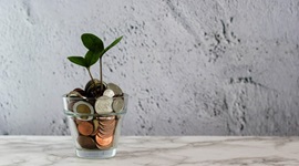 small plant growing in a jar/glass of coins on a marble worktop