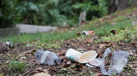 Plastic litter on grass.