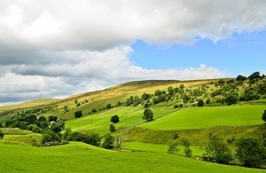 s300_GettyImages-476564253_Fields_smaller