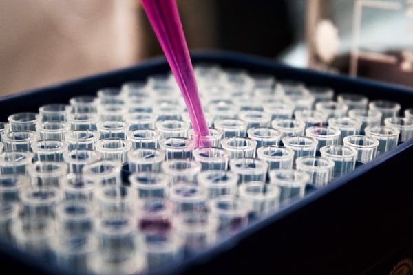 test production Rows of test tubes with pipette dropping liquid in.