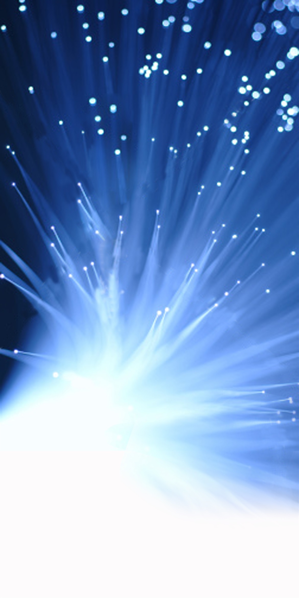 fibre