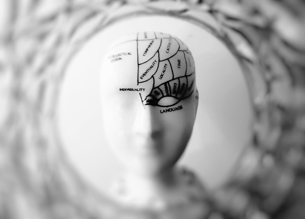 Language head
