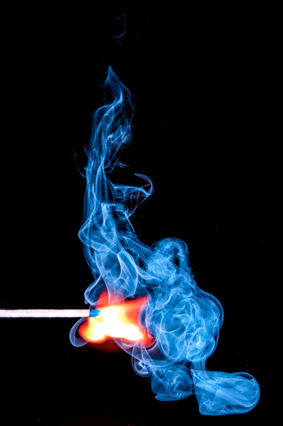 pexels-pixabay-54627