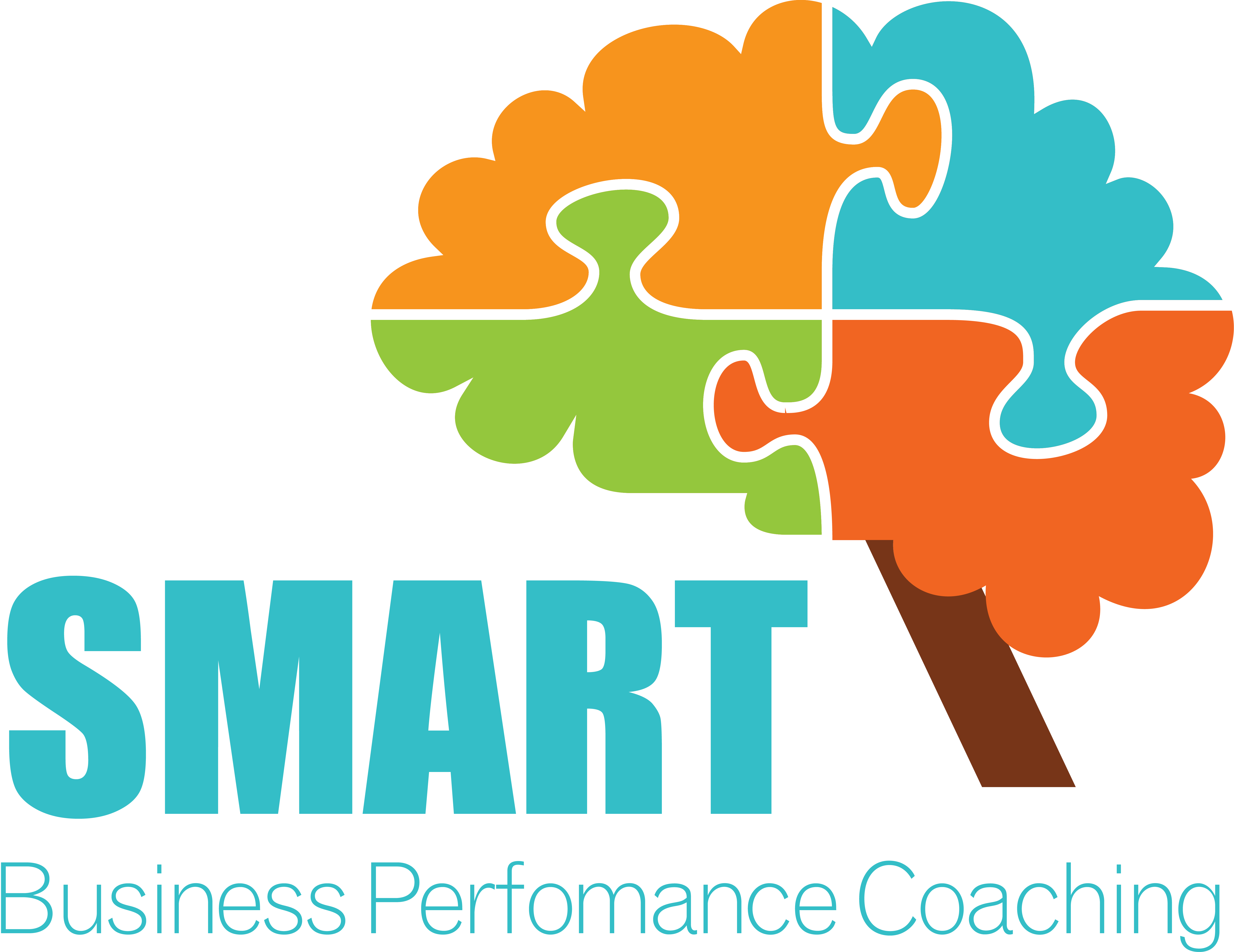 SMART B P C Ltd Logo