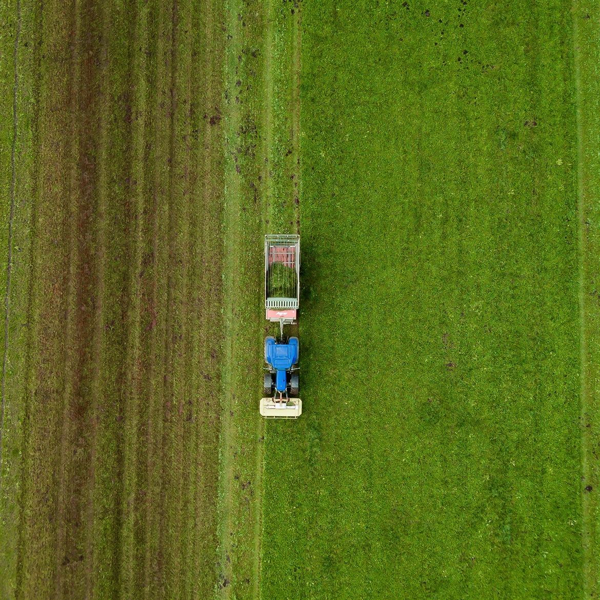 danilo-cestonato-452325-unsplash