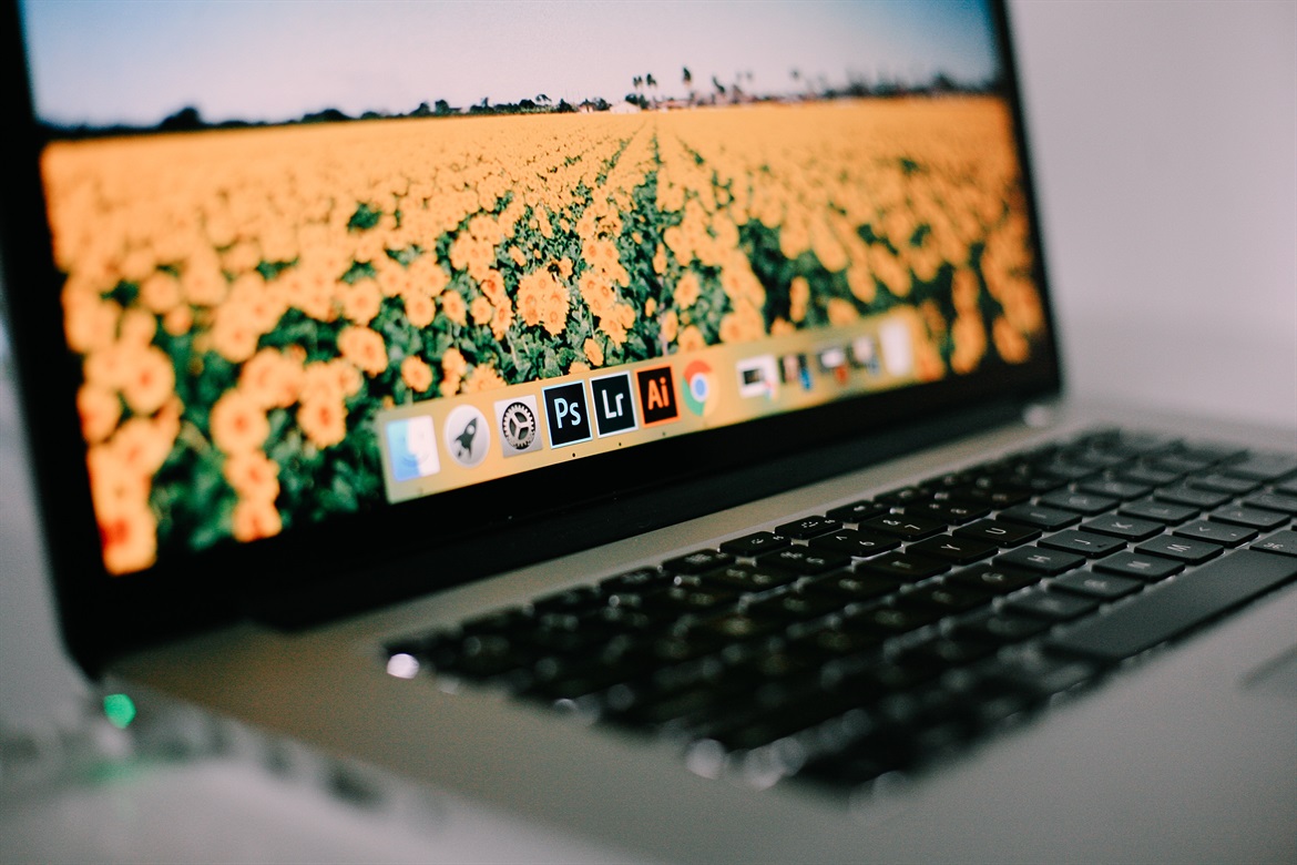 mikaela-shannon-205959-unsplash mikaela-shannon-205959-unsplash