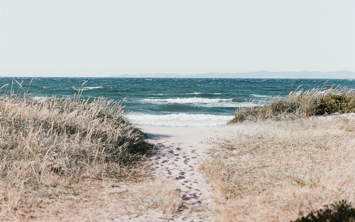 Ocean Ocean
