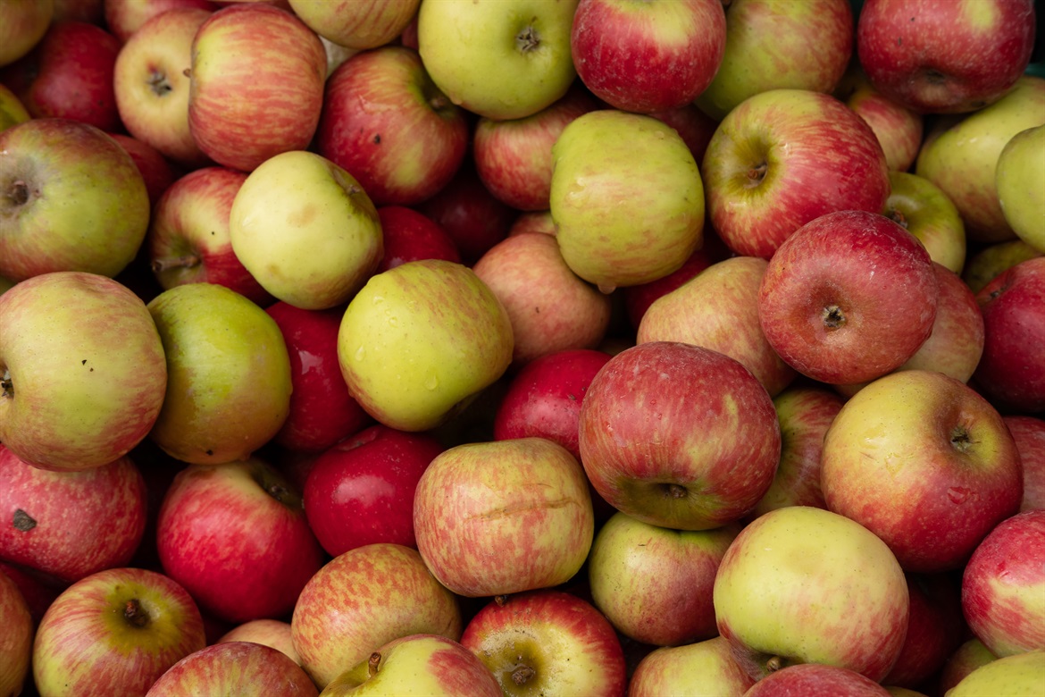apples apples