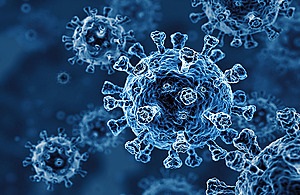 coronavirus image coronavirus image
