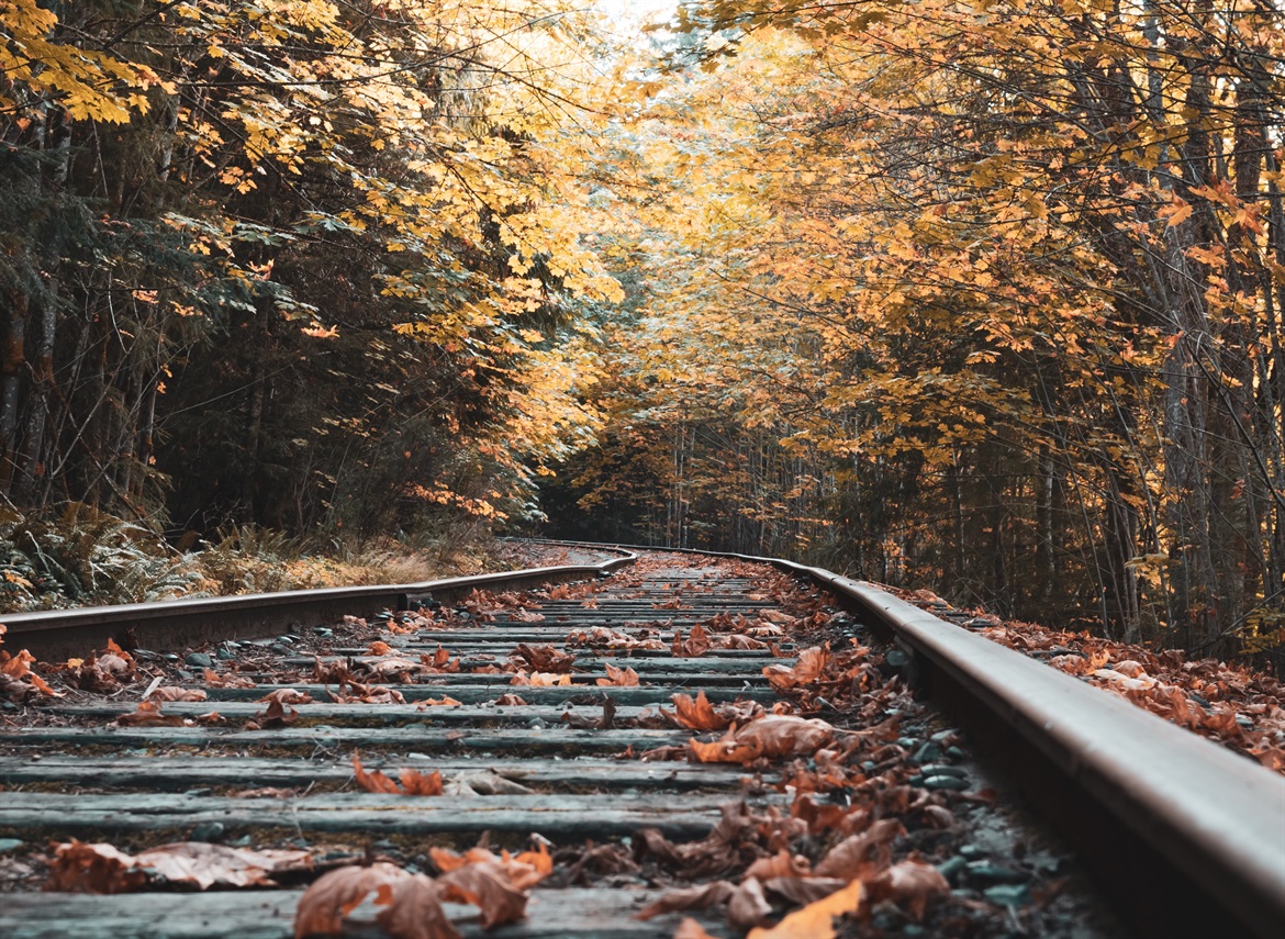 eye-level-photo-of-train-tracks-surrounded-with-trees-1448899