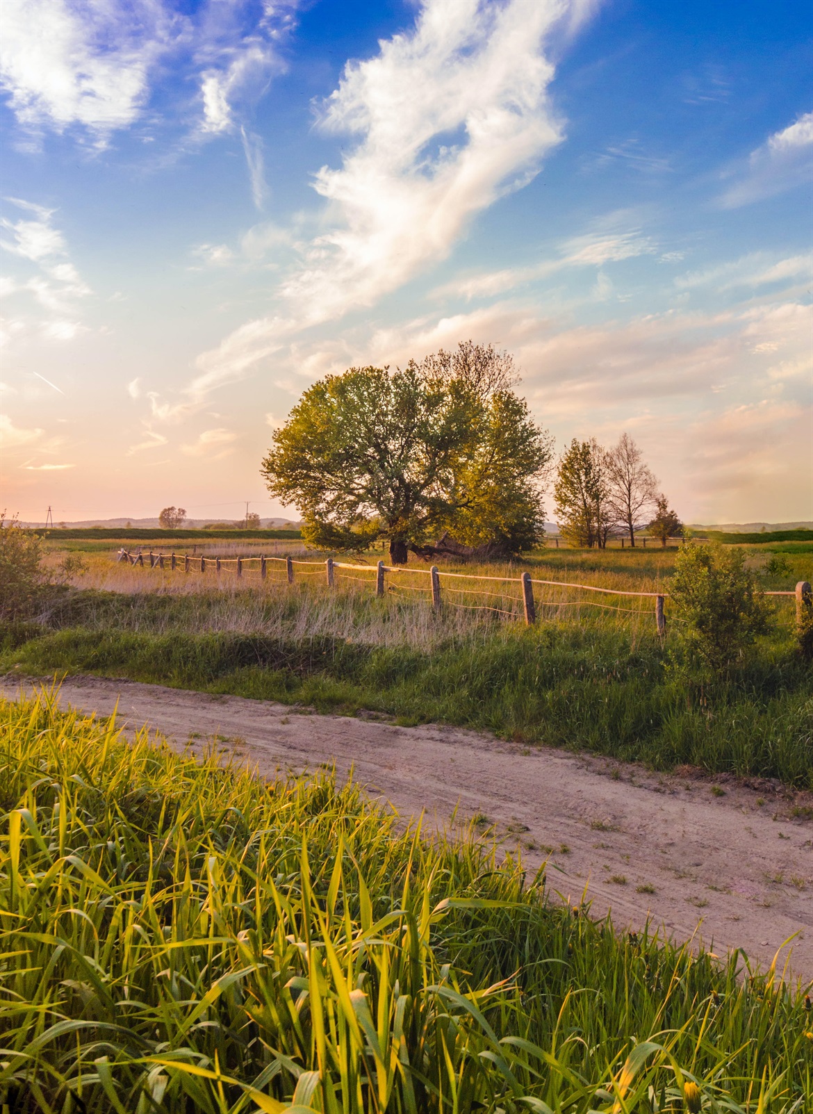 rural area